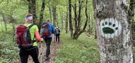 Drzni pohodniki 64 km hodili po medvedovih stopinjah #video