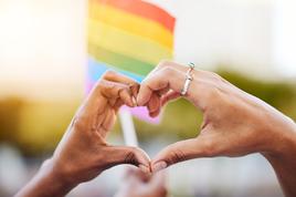 Istospolni pari bodo pridobili več pravic