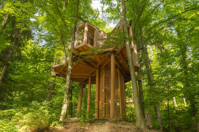 Drevesna hiška v Celju | Foto: Shutterstock