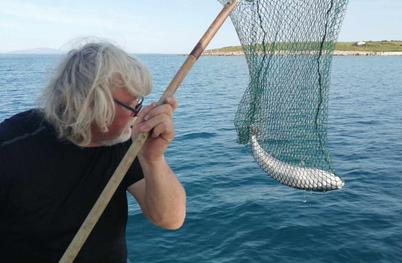 Neverjetno, kaj vse so našli v želodcu ribe, ki jo je pri Rovinju ujel slovenski ribič 