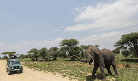 Nemec nameraval na safari v Tanzanijo, a nato doživel presenečenje