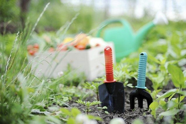vrt, orodje | Foto: Thinkstock
