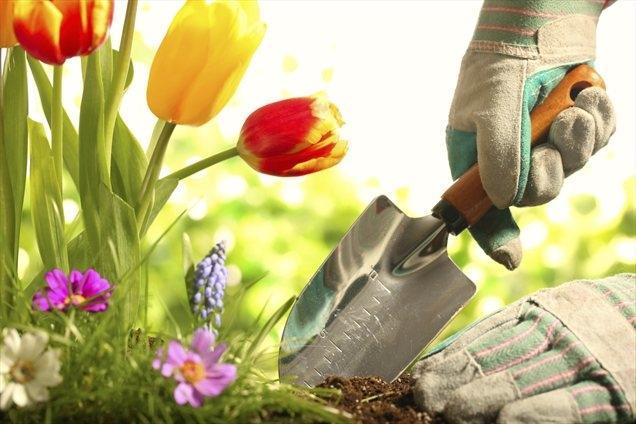 vrtnarjenje | Foto: Thinkstock