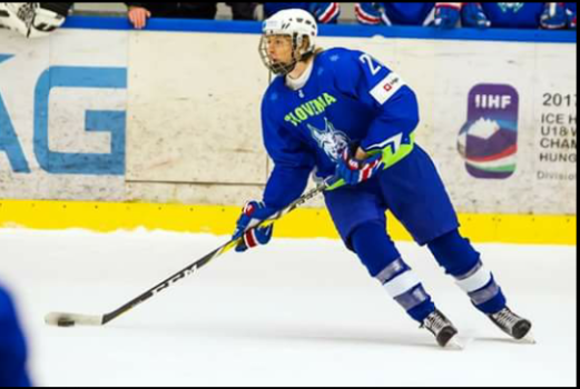 Najkoristnejši igralec prvenstva je bil Jan Drozg, ki velja za veliki up slovenskega hokeja. Bo naslednji Slovenec, ki ga bodo izbrali na naboru lige NHL? | Foto: Osebni arhiv