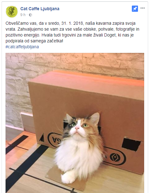 cat caffe facebook objava | Foto: 