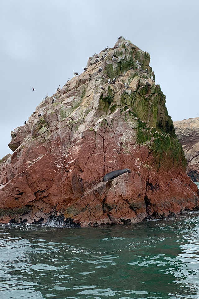Otoki Ballestas veljajo za miniaturno različico znamenitih Galapaških otokov.  | Foto: Rajko Gerič