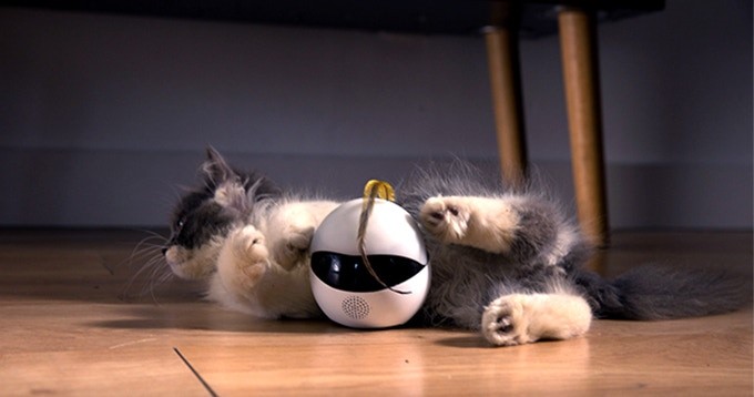 robot za mačke | Foto: Cover Images