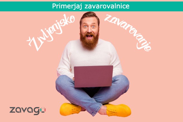 Spletni portal ZavaGO s primerjavo različnih zavarovanj različnih zavarovalnic v Sloveniji. Izberite najugodnejšega ponudnika. | Foto: FINANČNA HIŠA