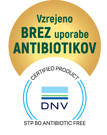 Najvišji certifikat vzreje brez uporabe antibiotikov | Foto: 