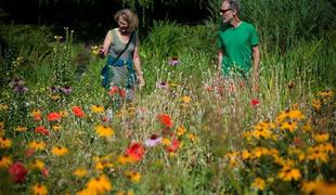 Ljubljanski botanični vrt: lokalni rastlinski svet v malem