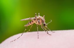 Učinkovita zaščita proti komarjem