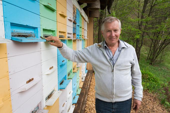 Čebele so Hermanova ljubezen.  | Foto: Matjaž Vertuš