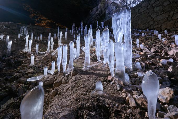 ledeni kapniki v Postojnski jami | Foto: Iztok Medja