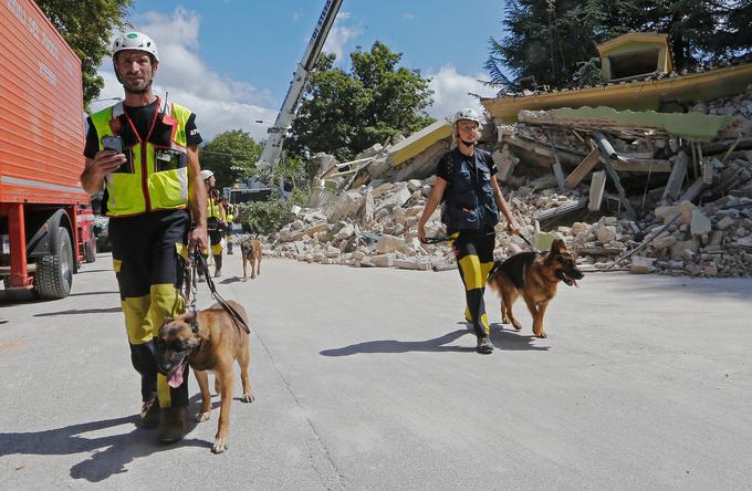Med prvimi so na območje potresa prišle enote z reševalnimi psi.  | Foto: Reuters