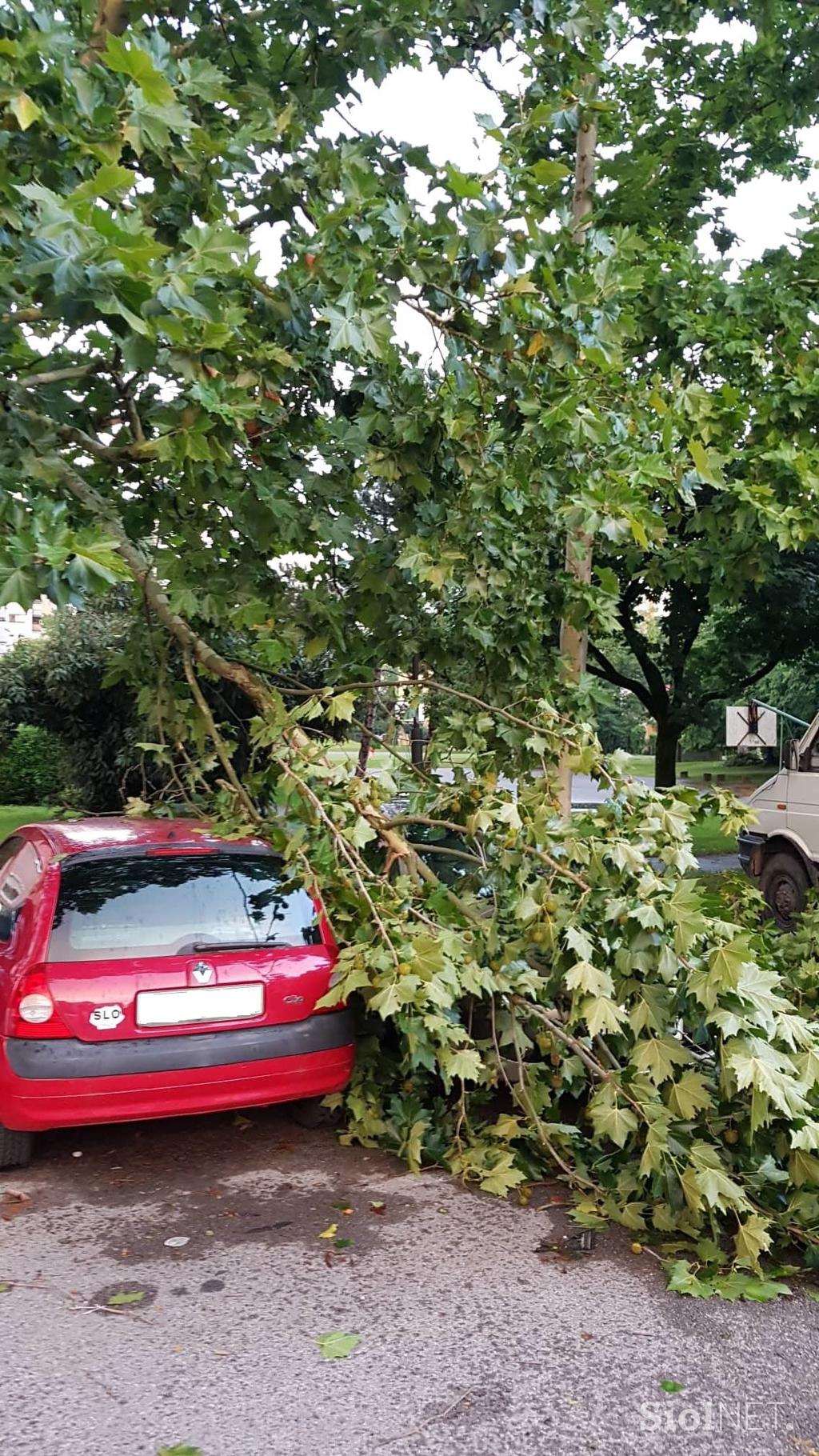 Posledice nevihte v Ljubljani