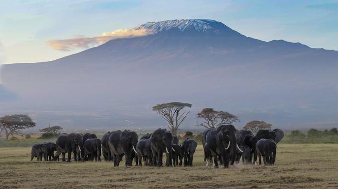 Kilimandžaro | Foto: Pixabay