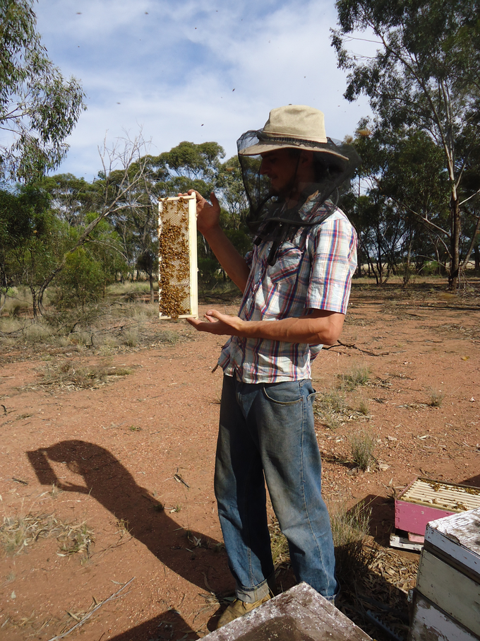 Čebelar v Avstraliji. | Foto: Osebni arhiv