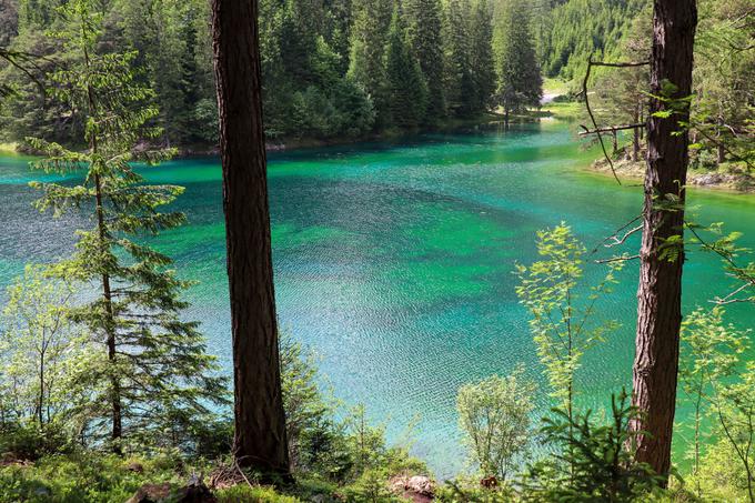 Jezero Grüner See | Foto: Matej Podgoršek