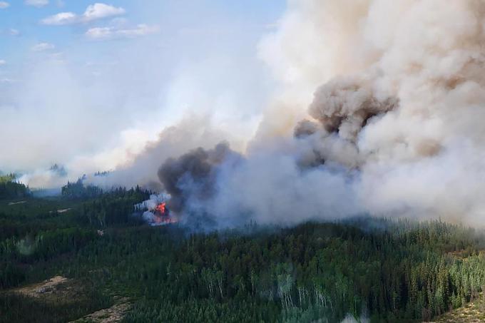 Dim gozdnih požarov je prekril večja mesta v provinci Quebec in sosednjem Ontariu, vključno s Torontom in prestolnico Ottawa.  | Foto: Reuters