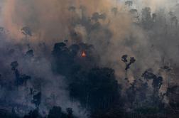 Amazonski pragozd še vedno gori, brazilski otroci že čutijo posledice #video