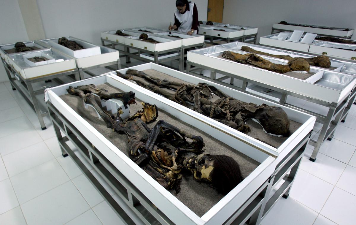 Mumija |  Veljajo za prve ljudi na svetu, ki so umetno mumificirali umrle. | Foto Reuters