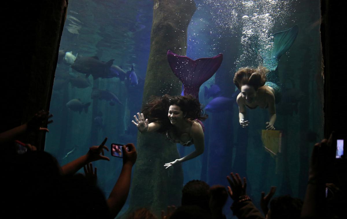 Akvarij v Sao Paulu | Foto Reuters