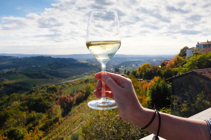 vino, vinograd, Goriška brda | Foto Shutterstock