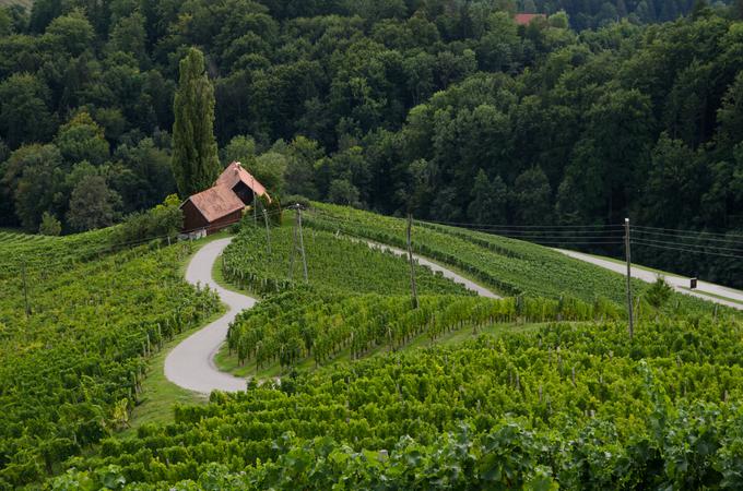Srce med vinogradi - razgled s turistične kmetije Dreisiebner na Špičniku. | Foto: Matjaž Vertuš