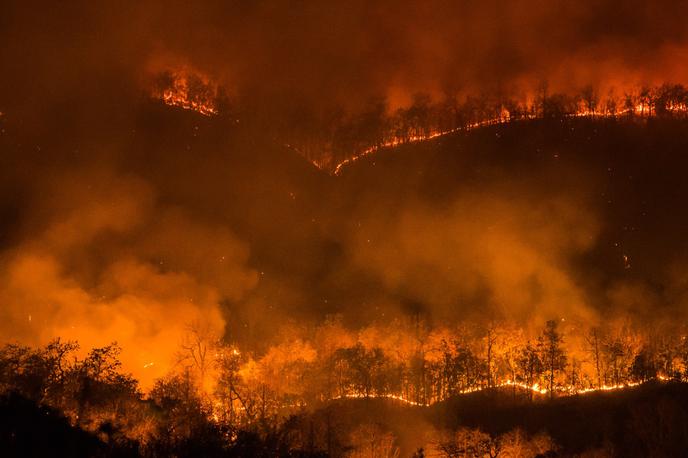Gozdni požar | Foto Thinkstock