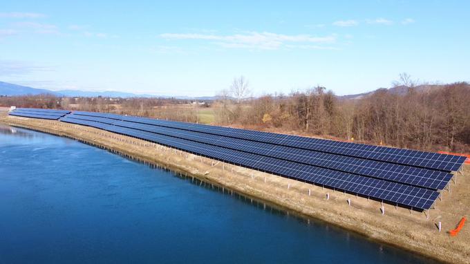 Sončna elektrarna Zlatoličje je med največjimi v Sloveniji. | Foto: STA