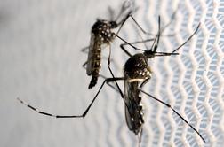 Potrdili drugi primer okužbe z virusom zika v Sloveniji