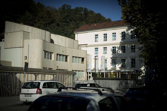 Waldorfska šola v Ljubljani je edina zasebna osnovna šola, ustanovljena pred letom 1996. | Foto: Ana Kovač
