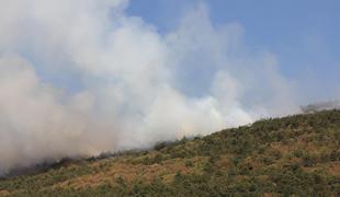 Na Sardiniji zaradi gozdnih požarov evakuirali dve naselji 