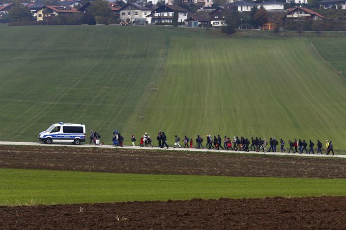 Nemška policija spremlja imigrante do registracijskega centra, potem ko so prečkali avstrijsko-nemško mejo v Wegscheidu blizu mesta Passau v Nemčiji, 20. oktober 2015. | Foto: Reuters