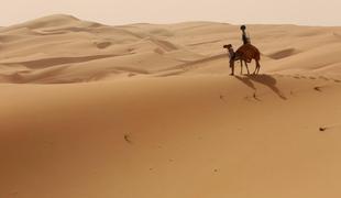 Street View je med sipinami postal – Camel View!