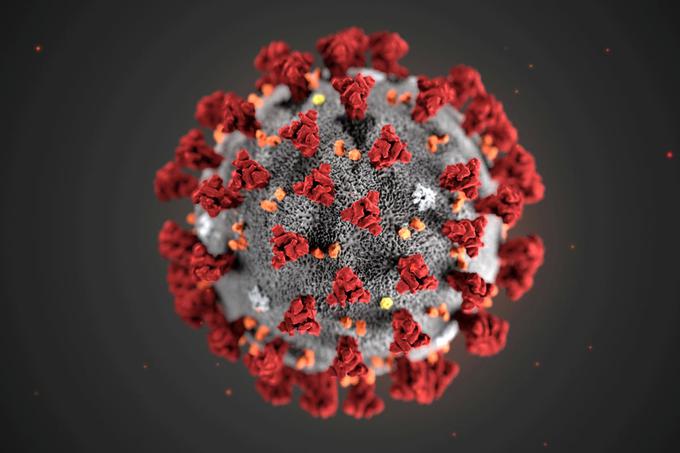 Za dolgotrajnejše preživetje koronavirusa so glede na nove raziskave ključne razmeroma visoka vlažnost zraka, zmerne temperature in odsotnost vetra ter trdna površina.  | Foto: Reuters