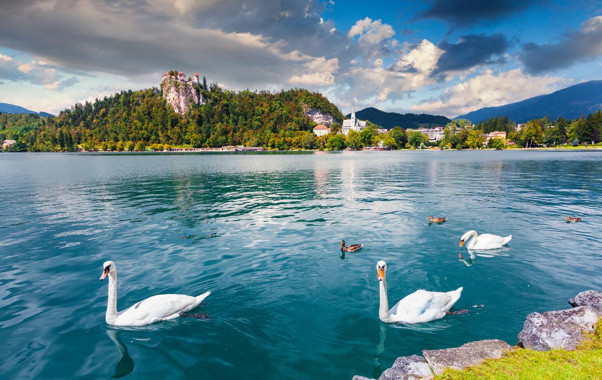 Bled Slovenija | Foto Thinkstock