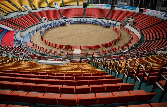 Prazen je tudi amfiteater v areni za bikoborbe v Južni Koreji. | Foto: Reuters