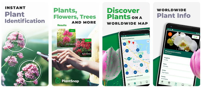 Plant Snap
 | Foto: 