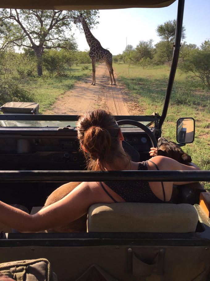 Tudi Shaya se vozi po rezervatu in opazuje živali. | Foto: 