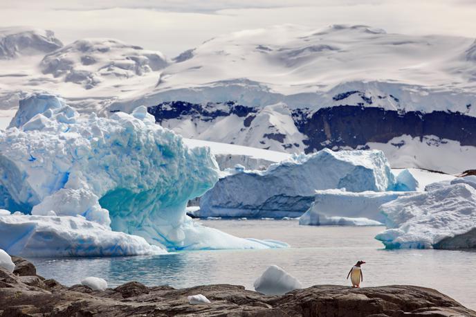 Antarktika | Antarktika je Zemljina najjužnejša celina in peta največja celina. | Foto Shutterstock