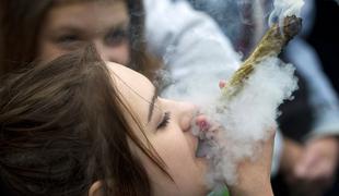 Prva država v EU legalizirala marihuano za osebno uporabo #video
