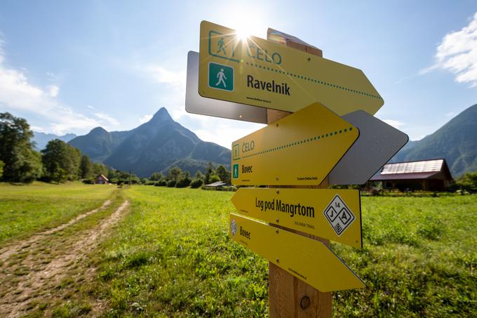 Traso Juliane Trail označujejo rumene table z logotipom Juliane.  | Foto: Mitja Sodja (Bohinj.si)