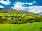Irska, podeželje, kmetijstvo, poljedelstvo