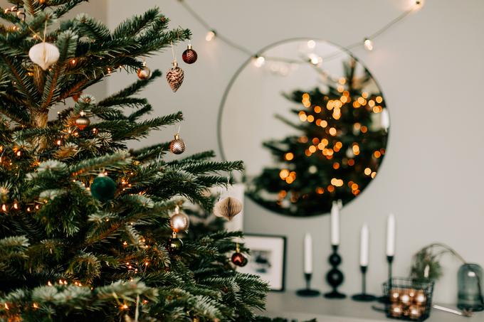 božična dekoracija, božično drevo | Foto: Envato