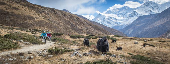Mojca Odar Nepal | Foto: osebni arhiv/Lana Kokl