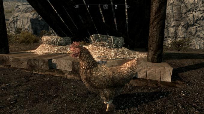 Preden je razvijalec Bethesda izdal popravek, te je v igri The Elder Scrolls V: Skyrim pri kaznivem dejanju lahko zasačila in oblastem tvoj zločin prijavila kokoš. | Foto: 