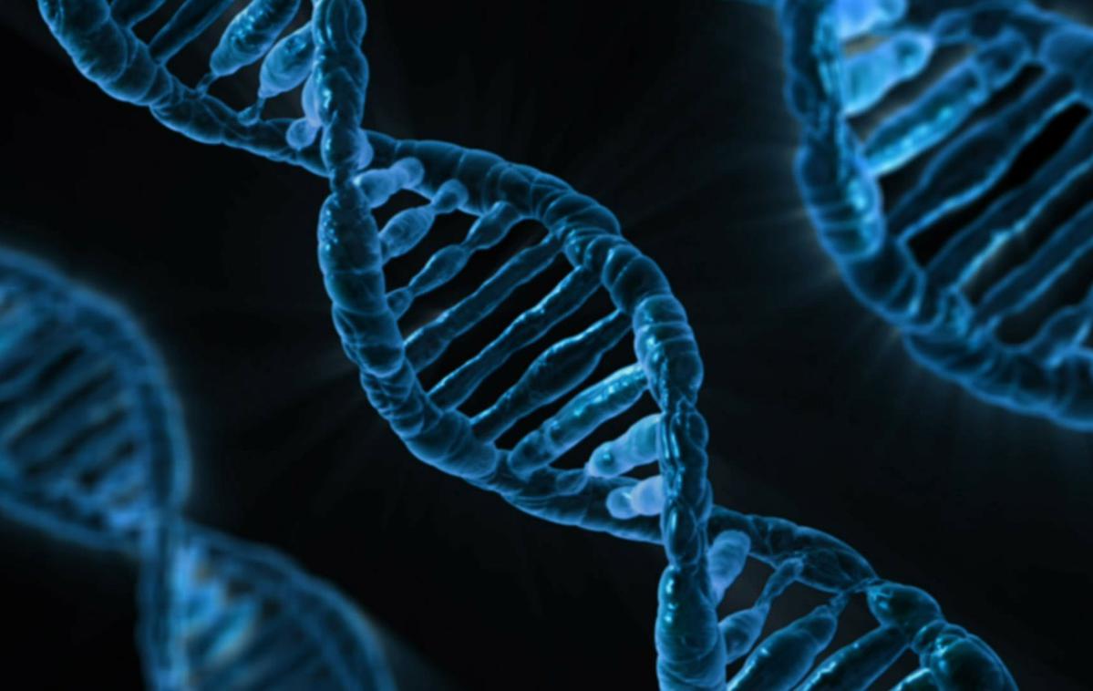 DNK |  Pri ljudeh, ki so podedovali te gene, je trikrat večja verjetnost, da bodo po okužbi z novim koronavirusom potrebovali umetno predihavanje z ventilatorjem. | Foto Pixabay