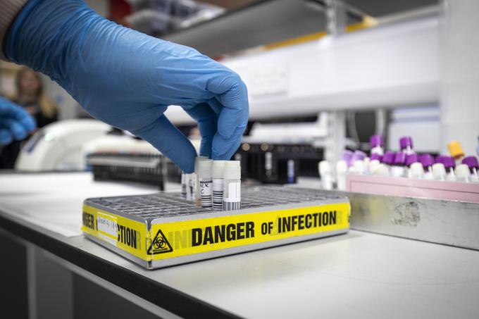 Za prostovoljni molekularni test na novi koronavirus se na dunajskem letališču (za 190 evrov) lahko odločijo samo tisti, ki nimajo vidnih znakov okužbe in niso bili v stiku z okuženo osebo. | Foto: Getty Images