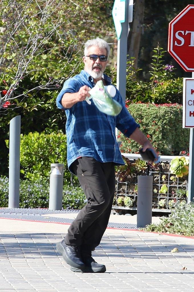 Mel Gibson | Foto: Profimedia